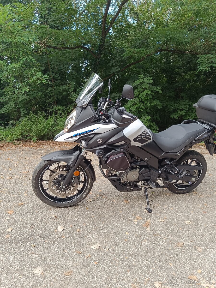Suzuki v strom - 18