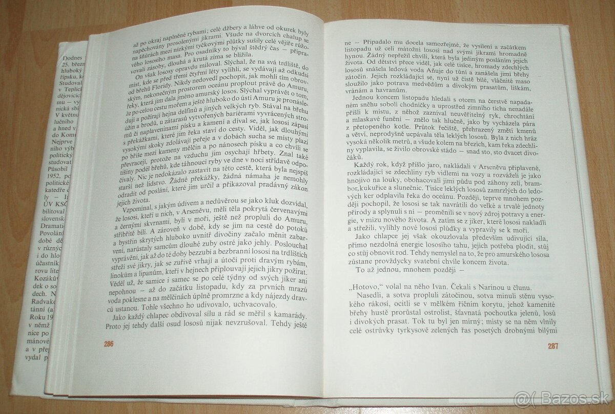 Podzim v kraji tygru - 18