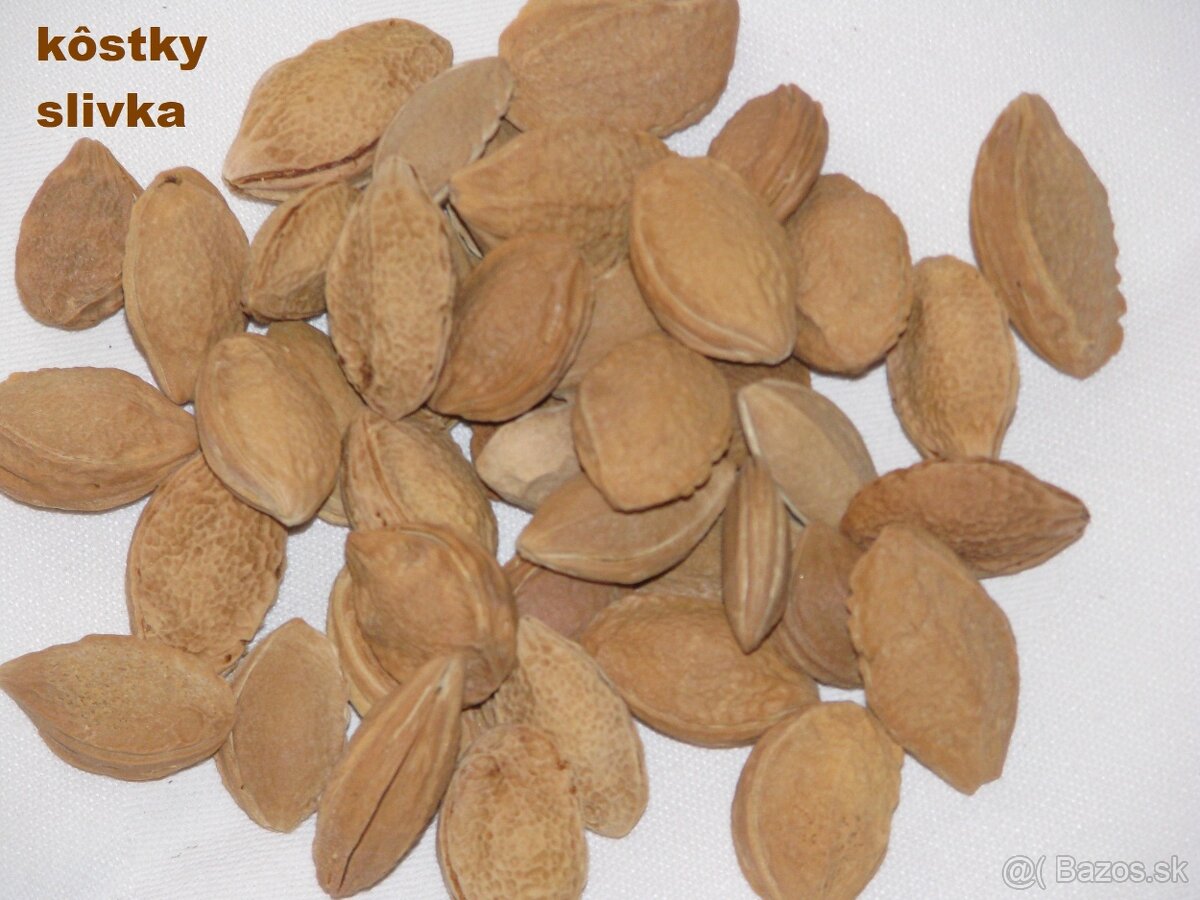 SUŠENÉ KVETY, ŠIŠKY a iné plody do dekorácií - 18