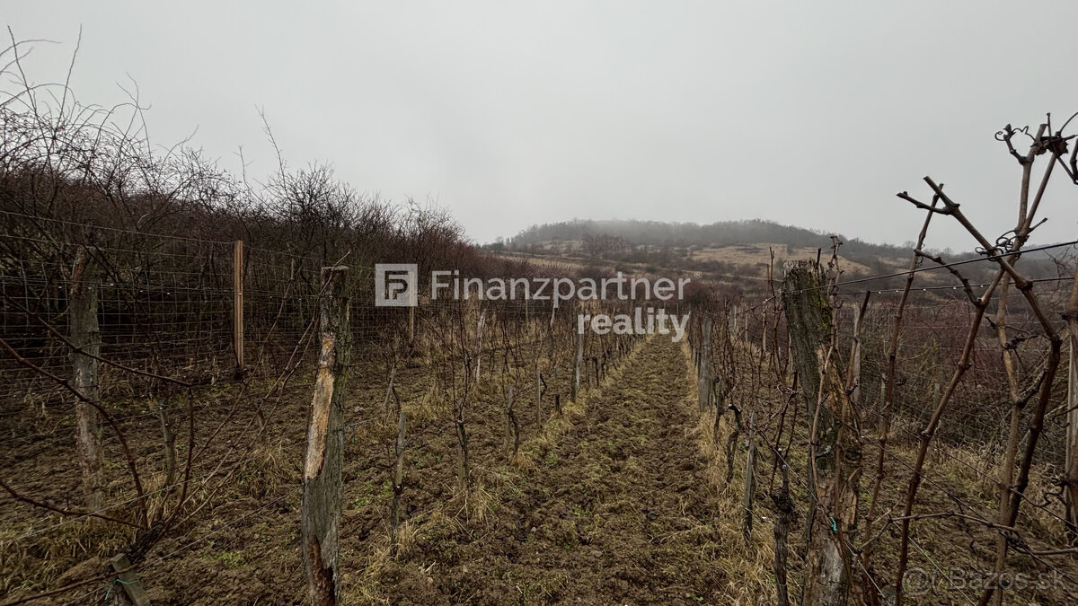 REZERVOVANÉ - Vinohrad 1862 m², v meste Pezinok + 3D - 18