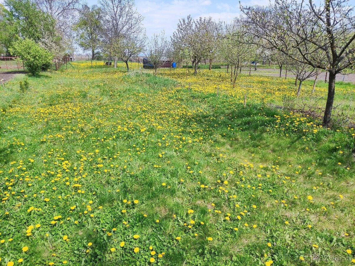 Zrekonštruovaný rodinný dom, 1765m2 pozemok, Očkov - 18