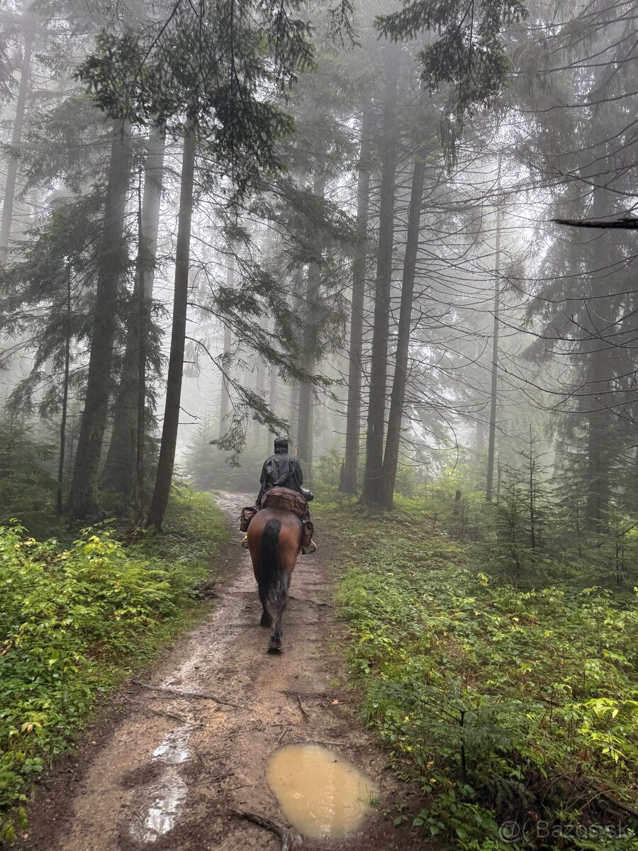 Darčekové poukážky - 18