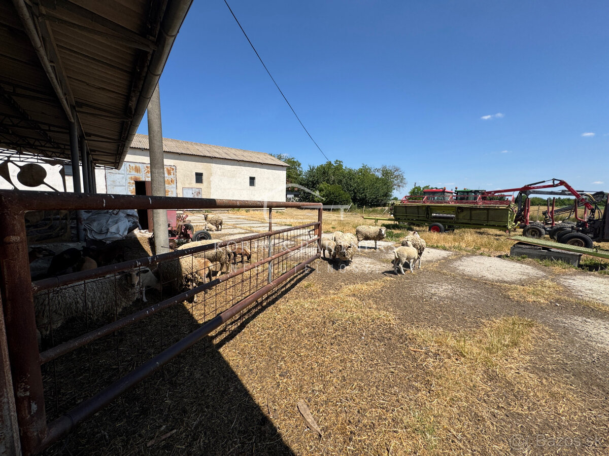 NOVINKA - Rodinná farma na vyše 2,5 hektároch pri Komárne - 18