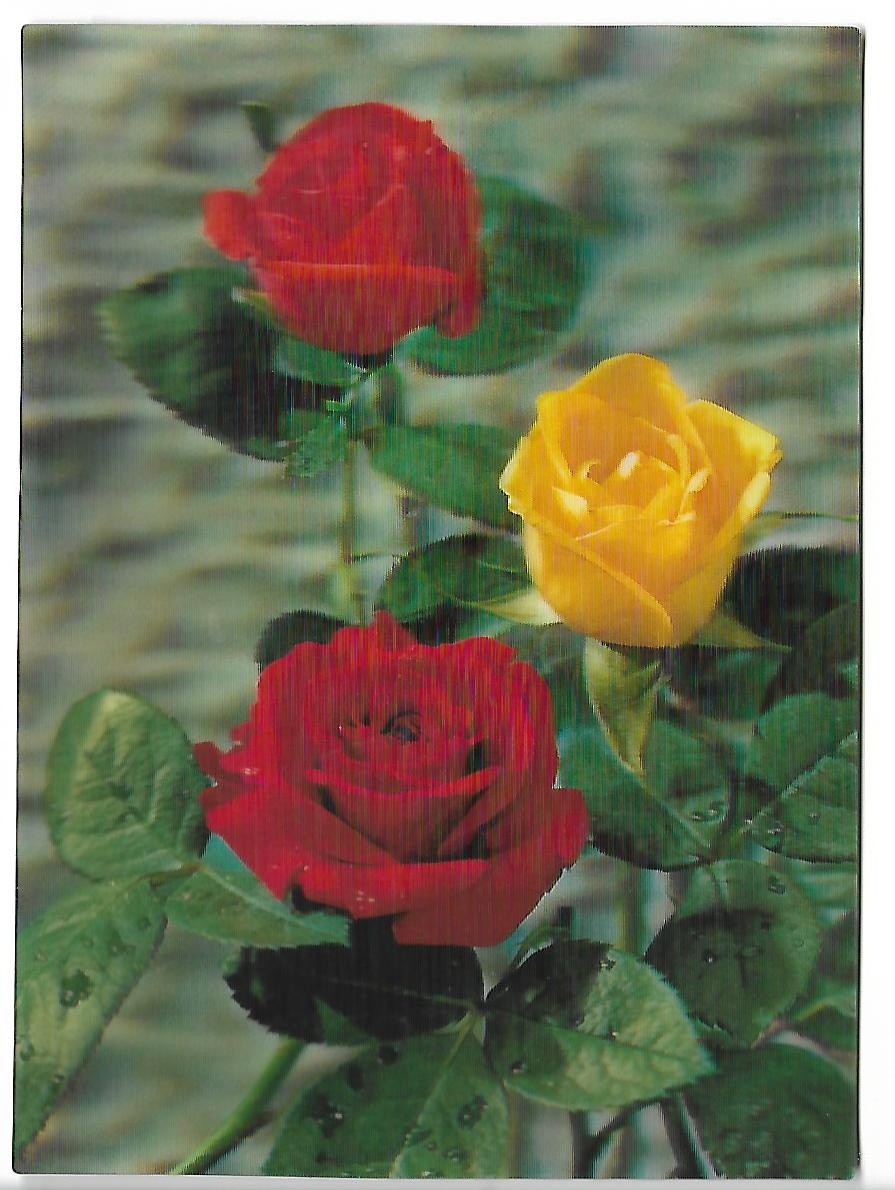 3D pohľadnice (61-80 ), čisté v top stave, 1 ks za 1 € - 18