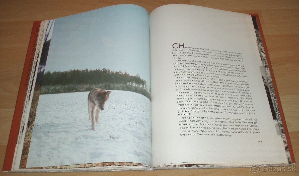 Osamělá vlčice - 18