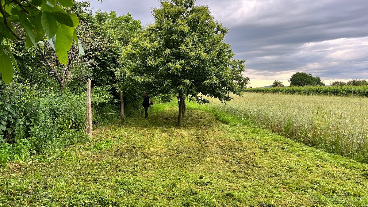 Predám pozemok vo vinicnej časti - 18