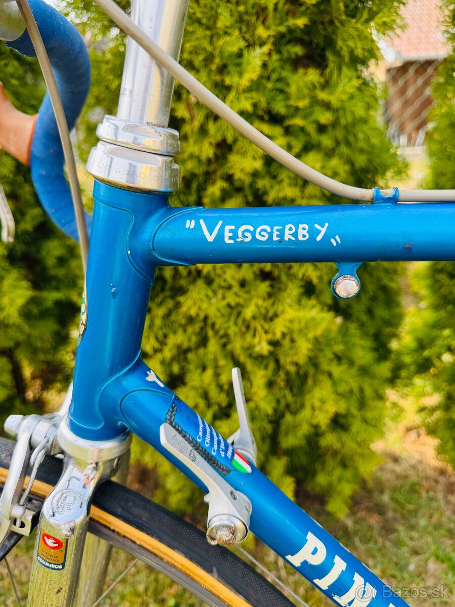 Pinarello “Veggerby” - 18
