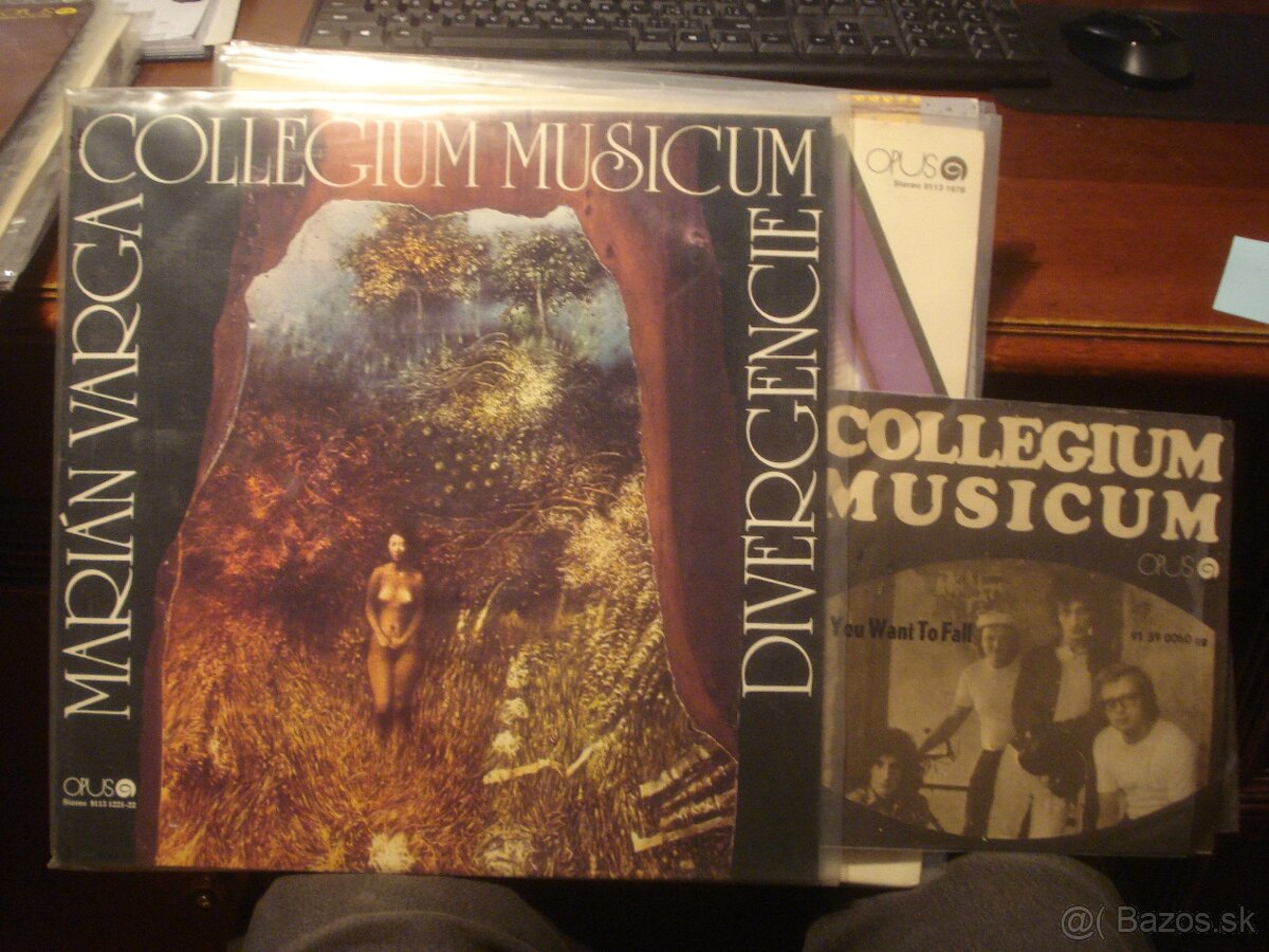 LP ŽBIRKA COLLEGIUM HAMMEL VARGA TUBLATANKA PRÚDY NAGY - 18