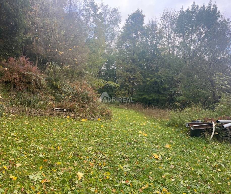 EXKLUZÍVNE PREDAJ: RD Divín; pozemok 593 m2; 125.000 € - 18