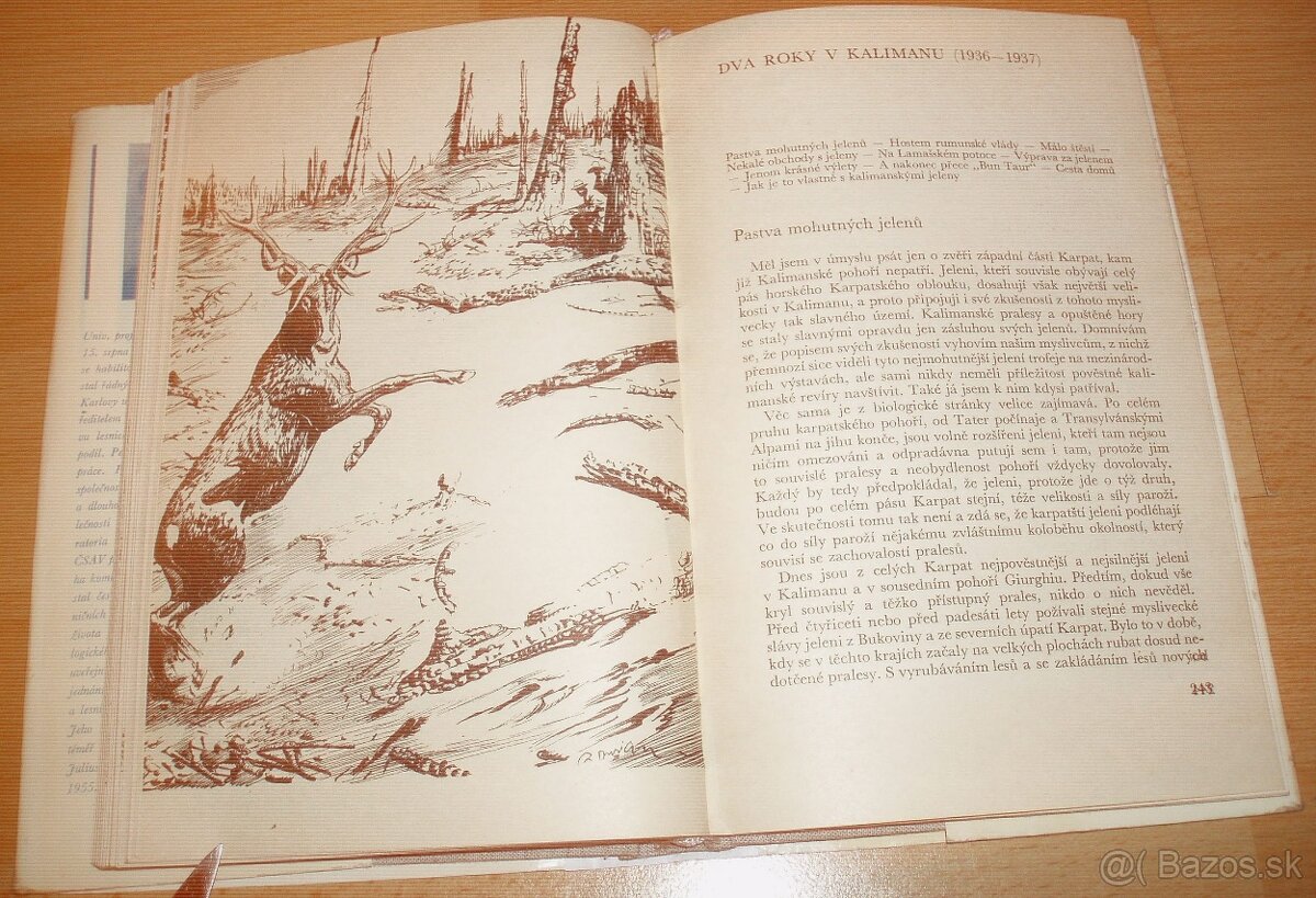 Lovy v Karpatech - 18