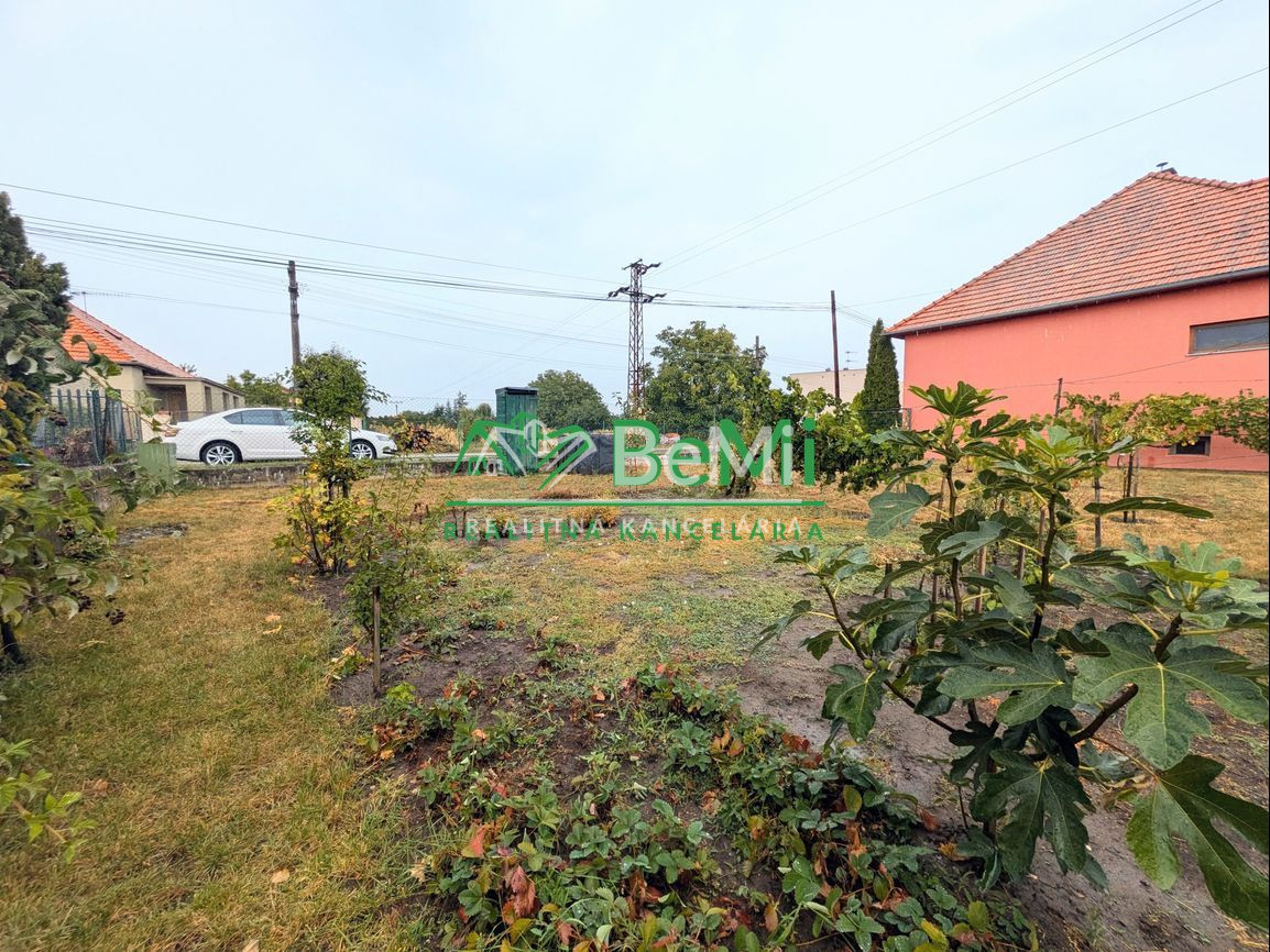 Predaj, rodinný dom - Veľké Kozmálovce (1229-12-AFI) - 18