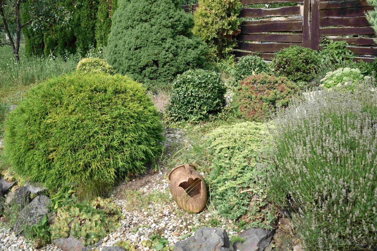 Predaj RD Černochov – romantická chalupa v srdci Tokaja - 18