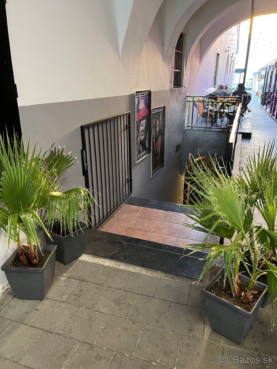++PRENÁJOM zariadený bar priamo na pešej zóne++ - 18