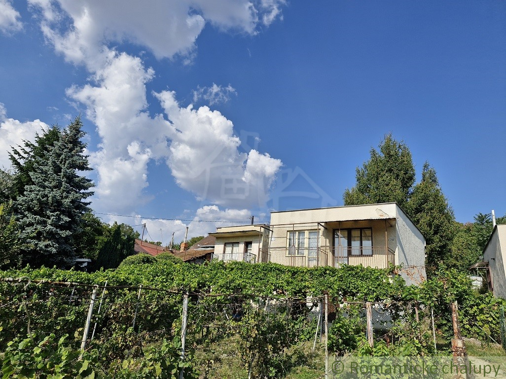 Viničný domček so záhradou v Leviciach - 18