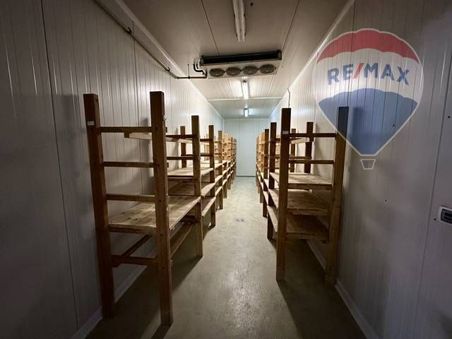 KOZÍ VŔŠOK Výrobný a skladový objekt so strategickou dopravn - 18