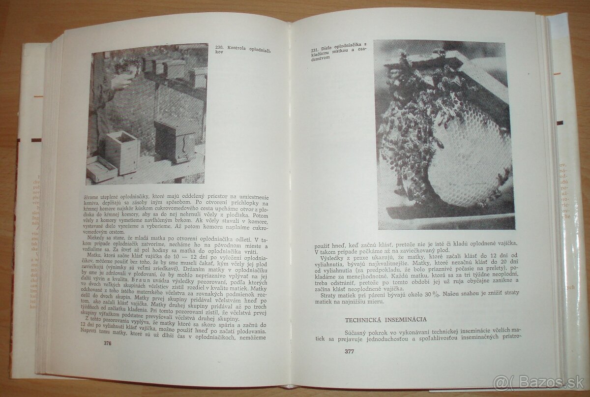 Včelárstvo - 18