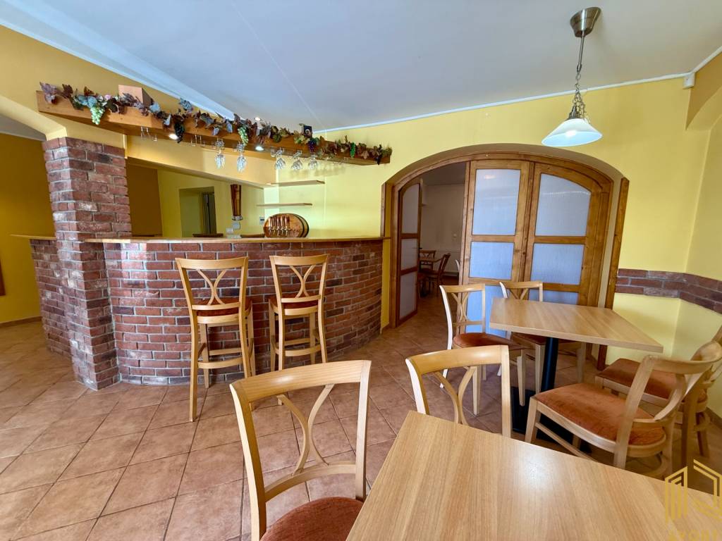 RODINNÝ DOM s DVOMI BYTMI a VINÁRŇOU, SOBOTIŠTE - 18