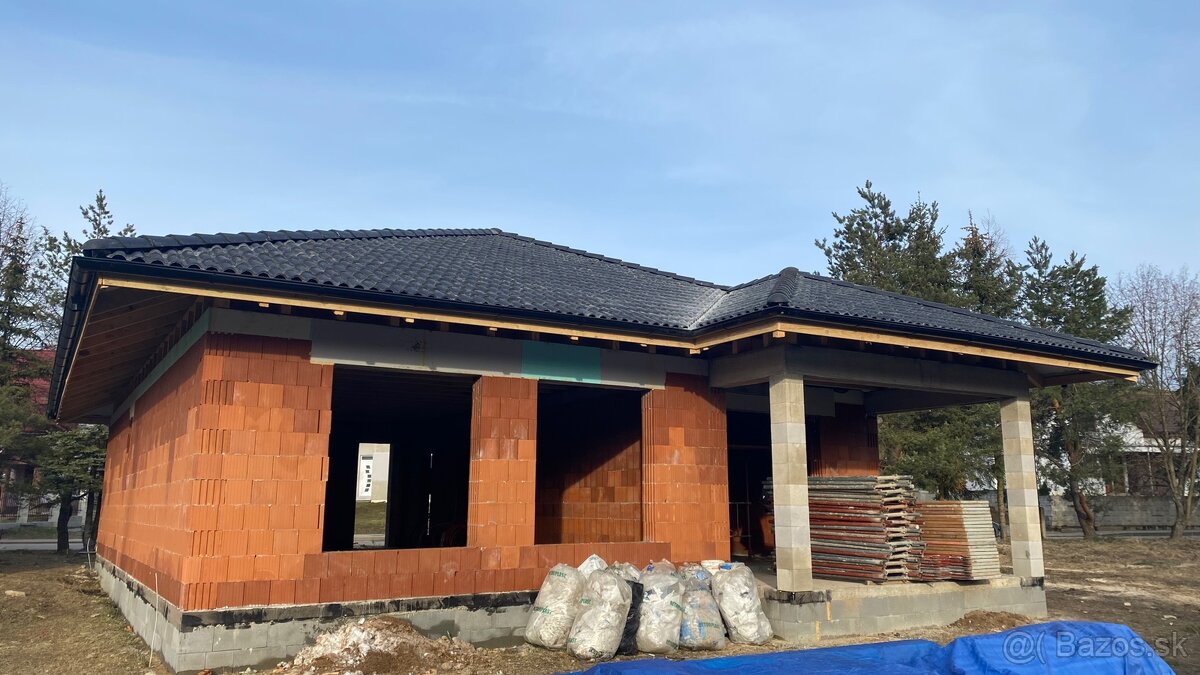 LEŠENIE - DEBNENIE - 18