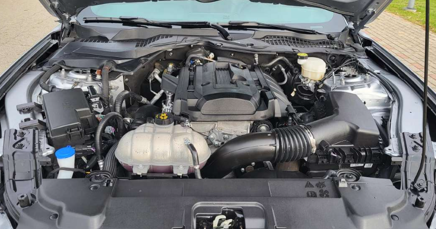 Ford Mustang 2,3l Shelby dizajn 2020 - 18