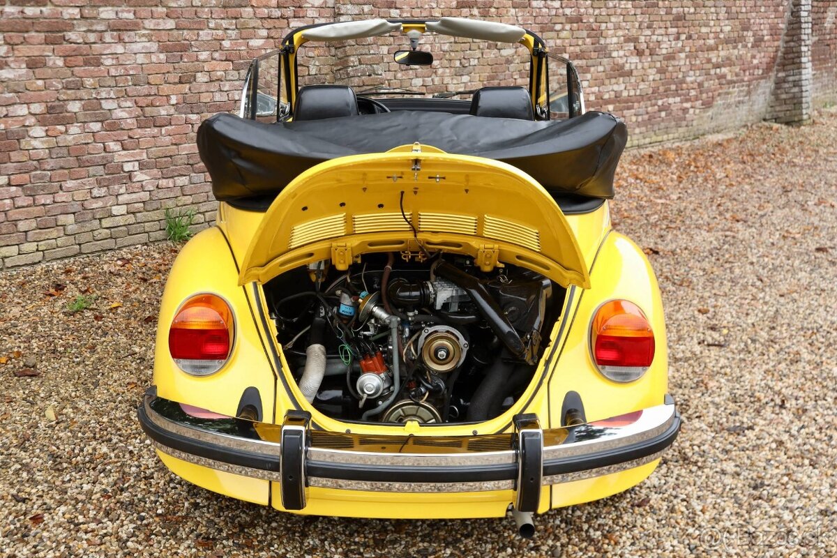 Volkswagen Beetle - 18