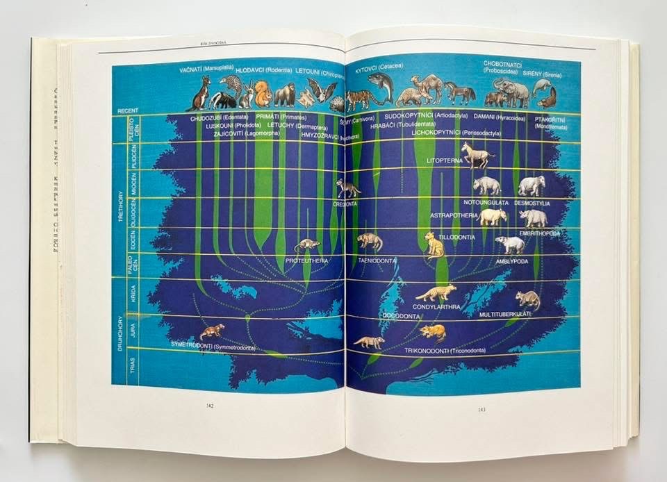 Nádherná séria encyklopédií - 18