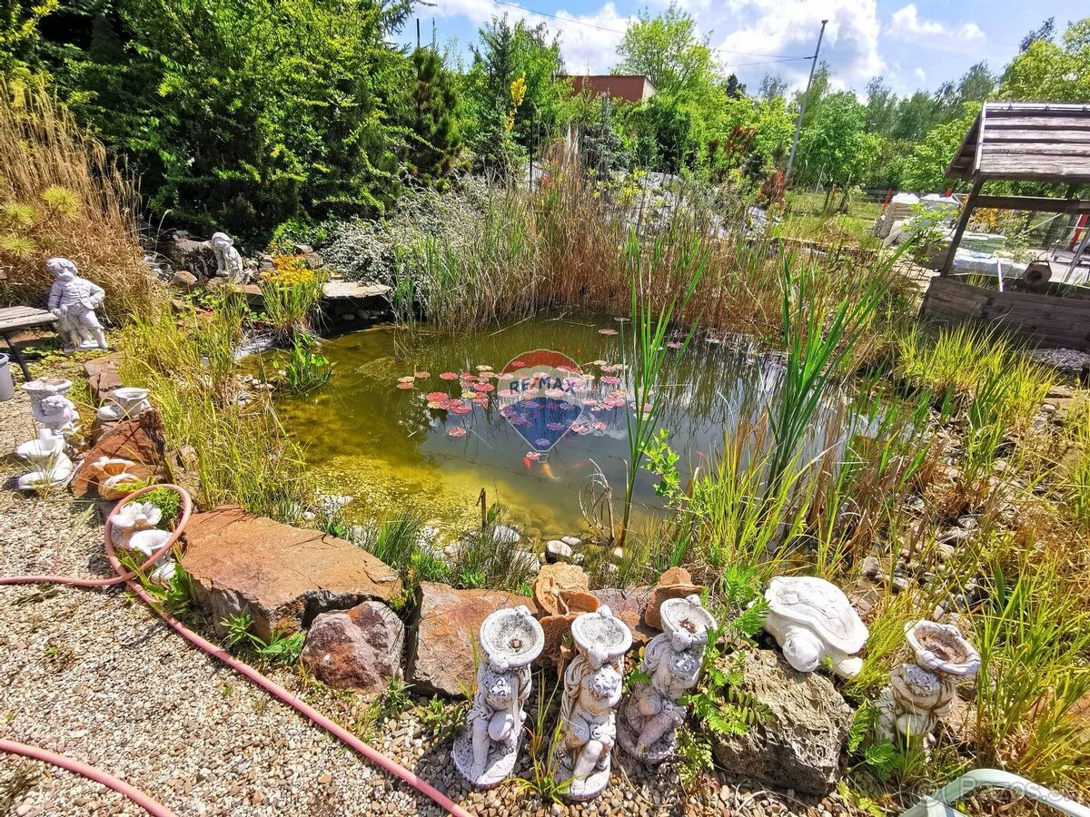 Záhradné centrum na prenájom, 1800m2, Snina - 18