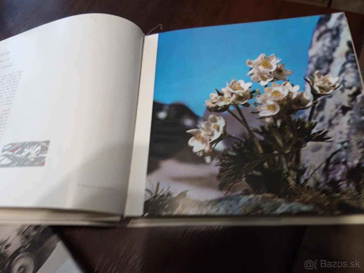 knihy o maliarstve-umeni - 18