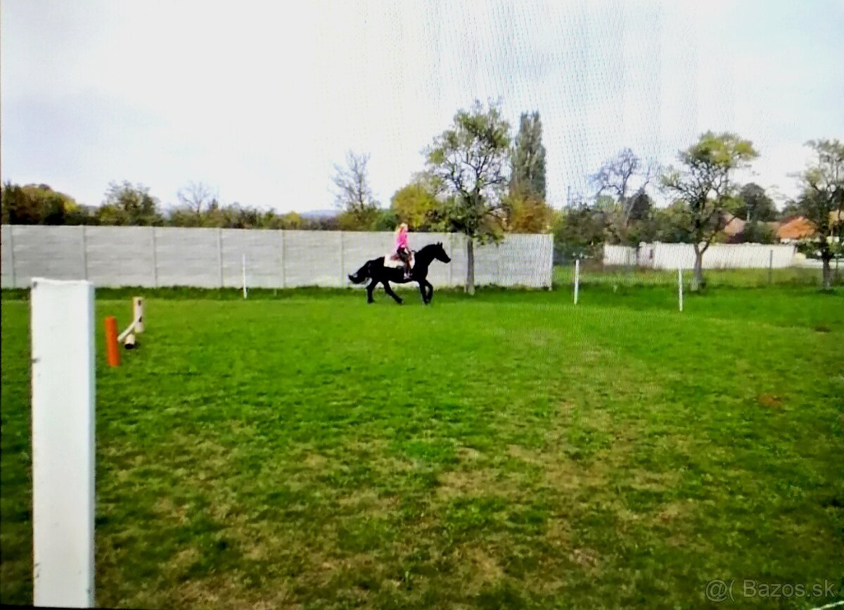 Na predaj zaujímavá nehnuteľnosť v - 18