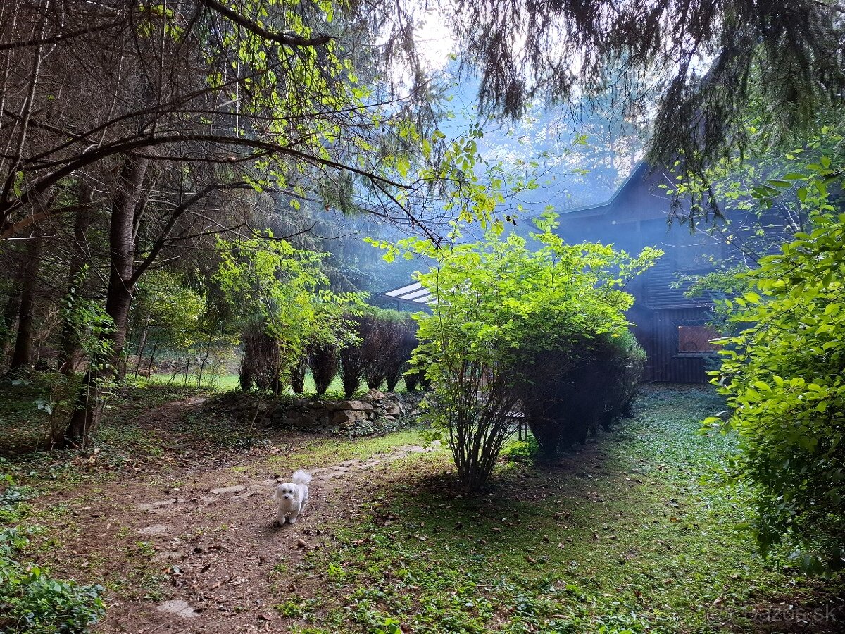 Malebná chata po kompletnej rekonštrukcii pri Piešťanoch - 18