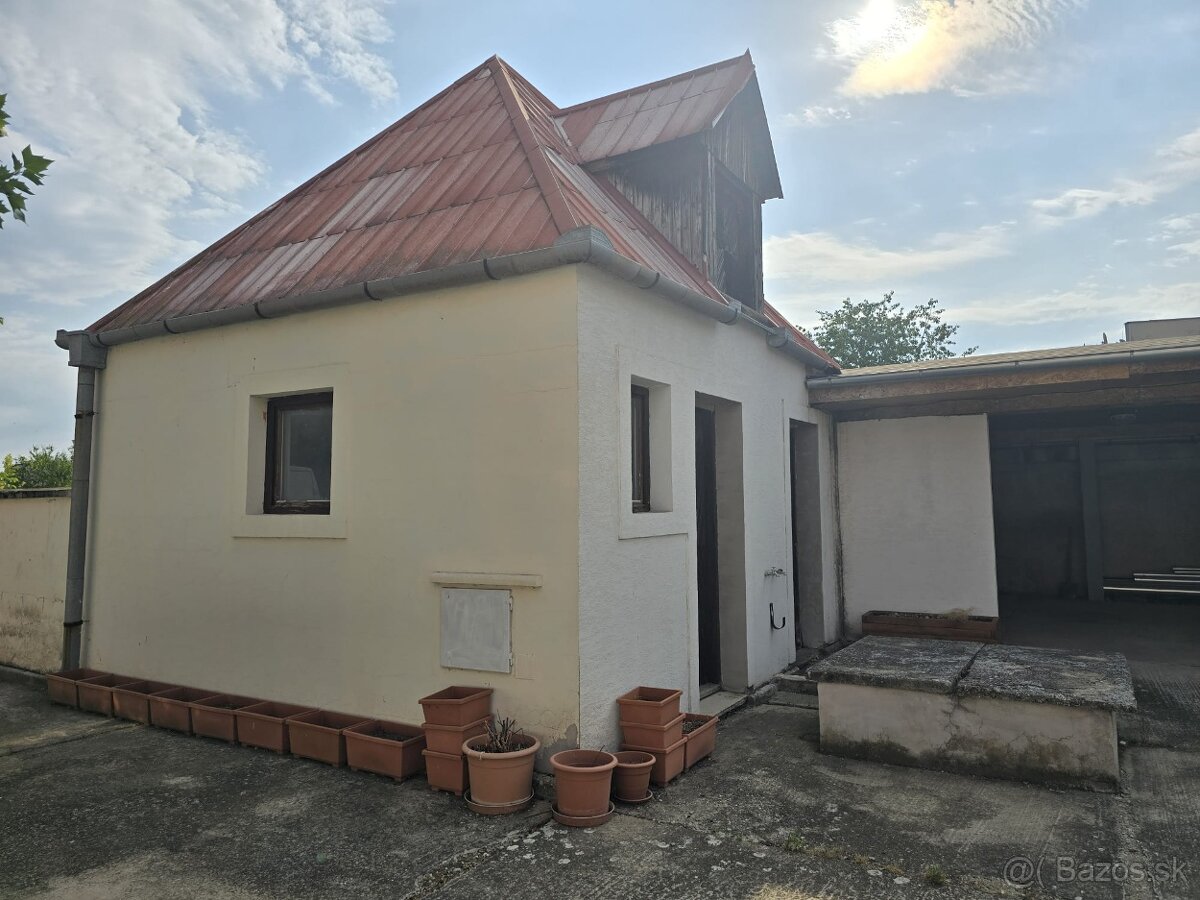 Veľký rodinný Dom-Jur nad Hronom s potenciálom na podnikanie - 18