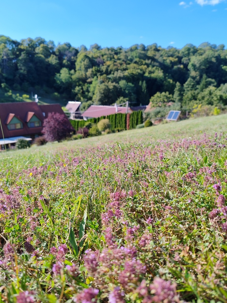Exkluzívne u nás rodinná vila obec Prietrž - 18