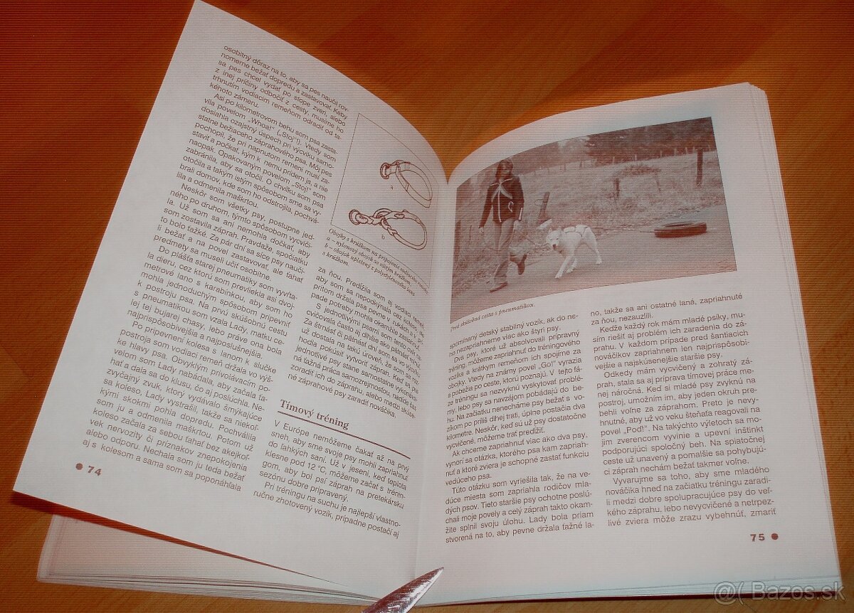 Severské plemená psov - 18