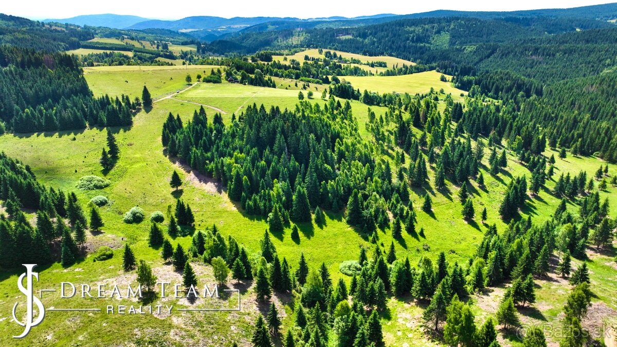 Stavebný pozemok 2.2ha v krásnom prostredí Látky okr. Detva - 18