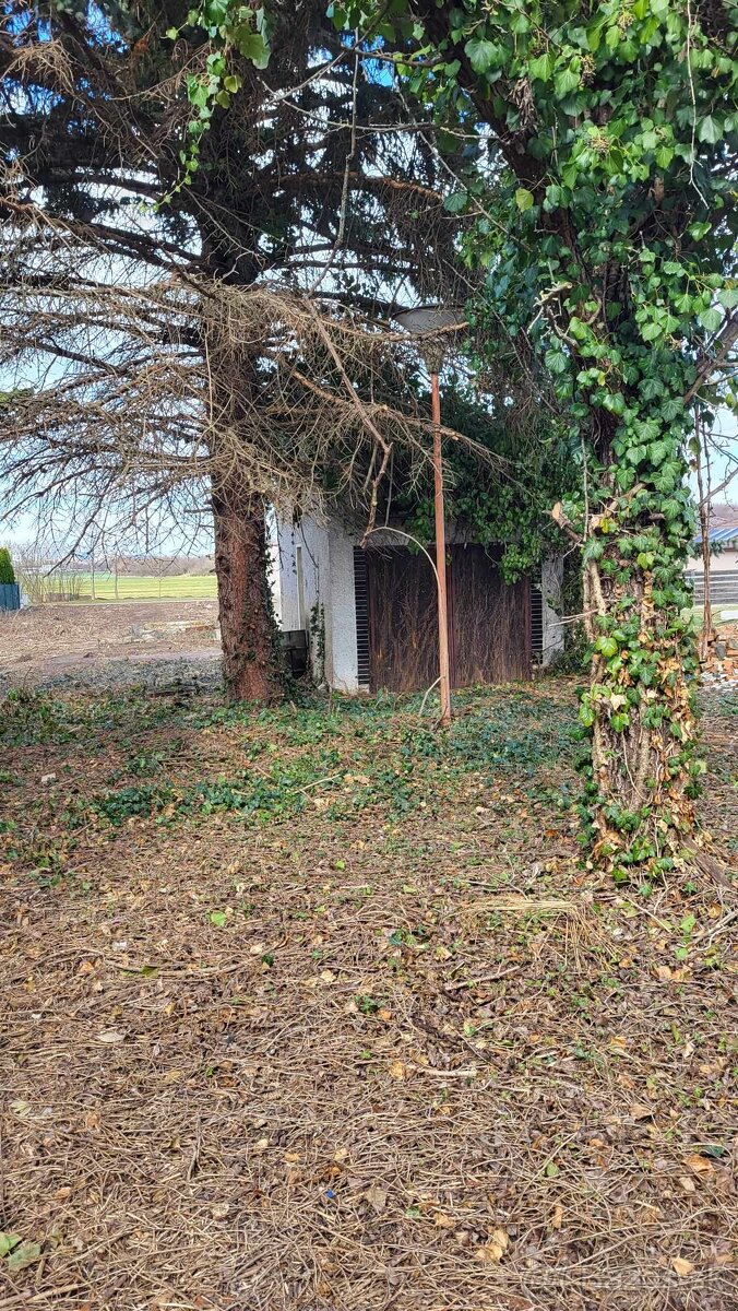 Na predaj Rd Ivanka pri Nitre Investičné - 18