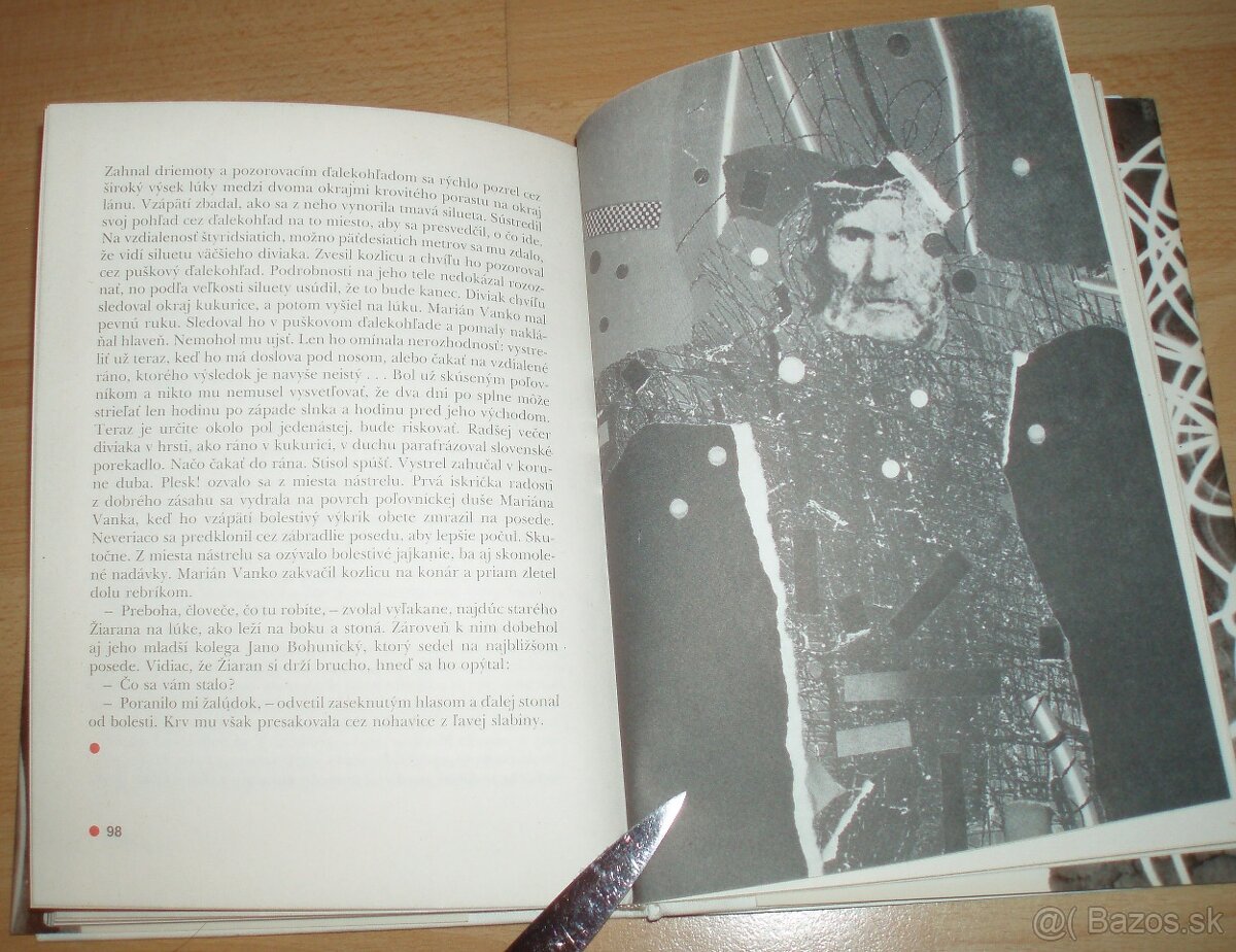 Poľovnícke tragédie - 18