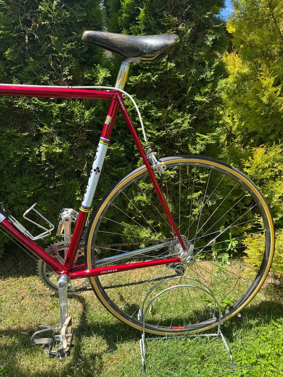 Colnago Nuovo Mexico - 18