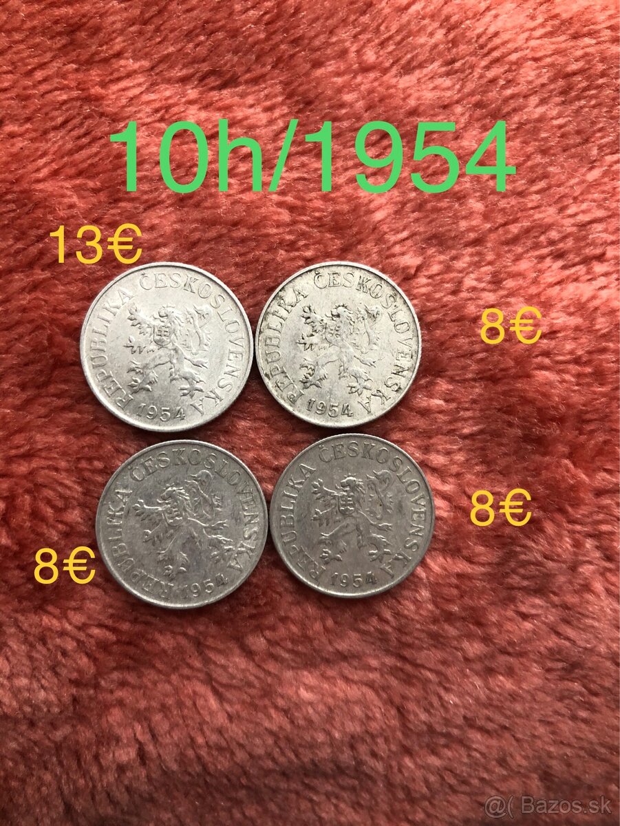 Mince (50h/10h/20h) - 18