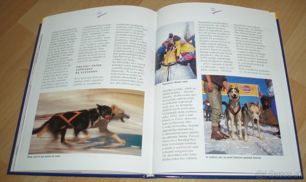 Záprahové psy - 18