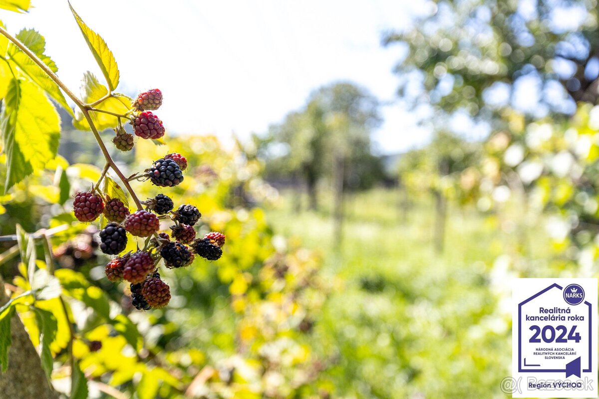 REZERVOVANÝ Rodinný dom v srdci obce Dvorníky - Včeláre - 18
