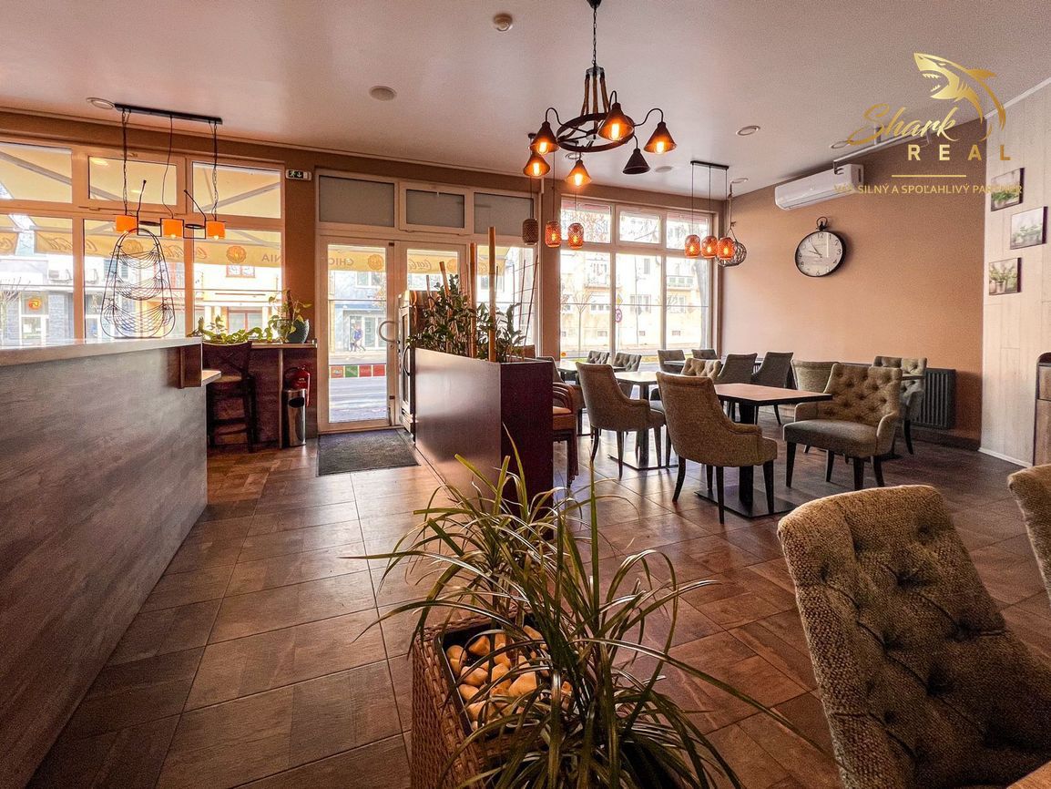 Rozbehnutý biznis v srdci Piešťan hľadá nového majiteľa - 18