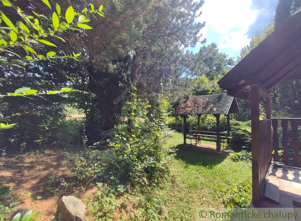 Chata uprostred lesa neďaleko viacerých lyžiarskych stredí - 18