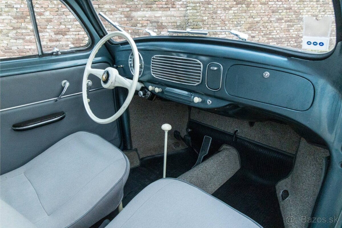 Volkswagen Beetle - 18