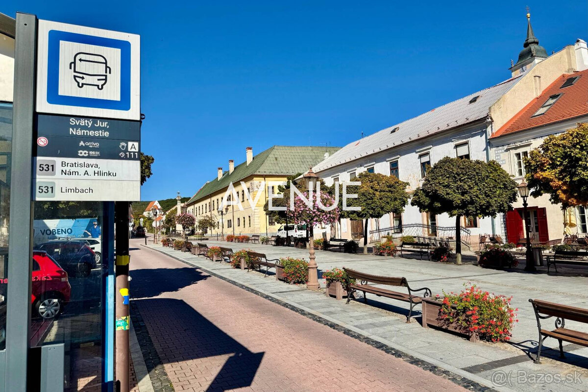 AVENUE | 5i RD s vinnou pivnicou, Svätý Jur, Prostredná ul., - 18