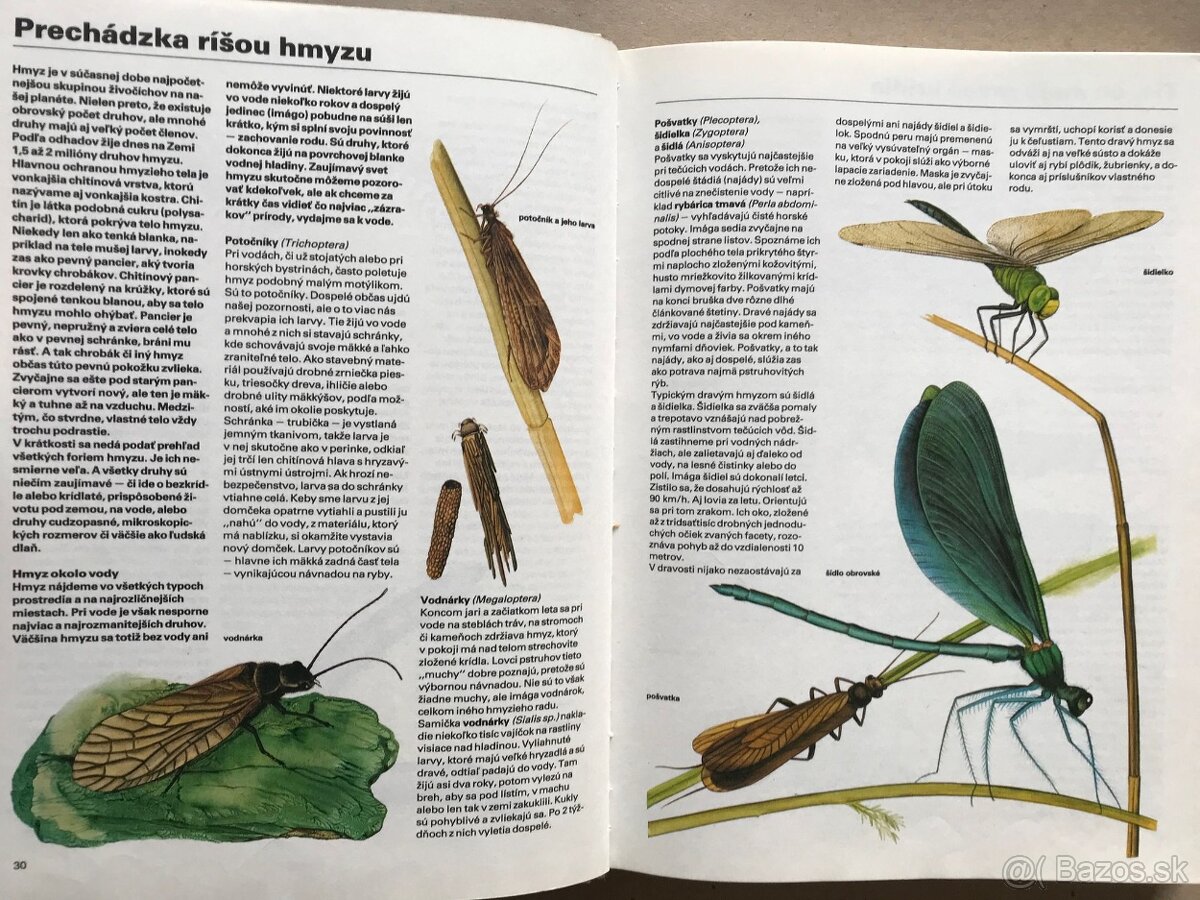 Bukovský, Psy, Golf Fyzika, Malý atlas húb, Slovenský futbal - 18