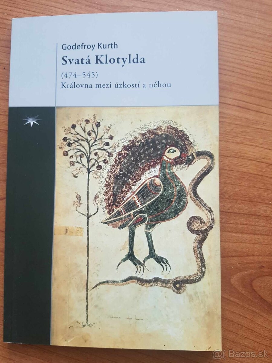 Chlapec,tory sa hral s Bohom,Carlo Acutis,Don Bosco - 18