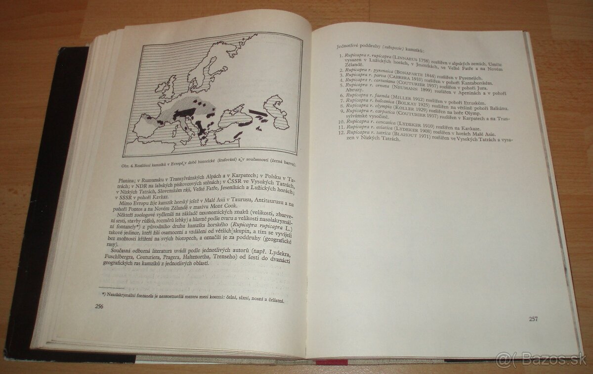 Dutorohá zvěř - 18