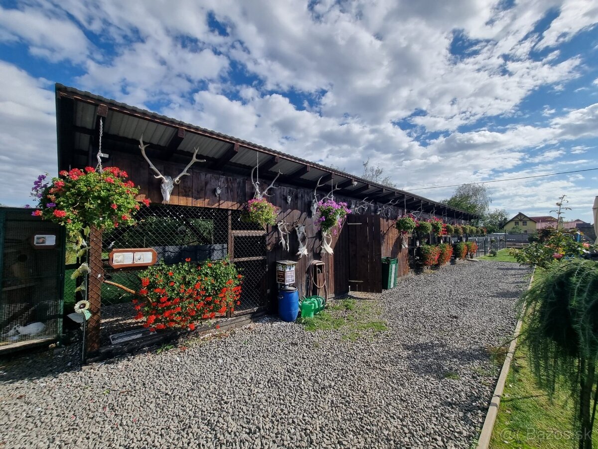 Voliery , klietky - 18