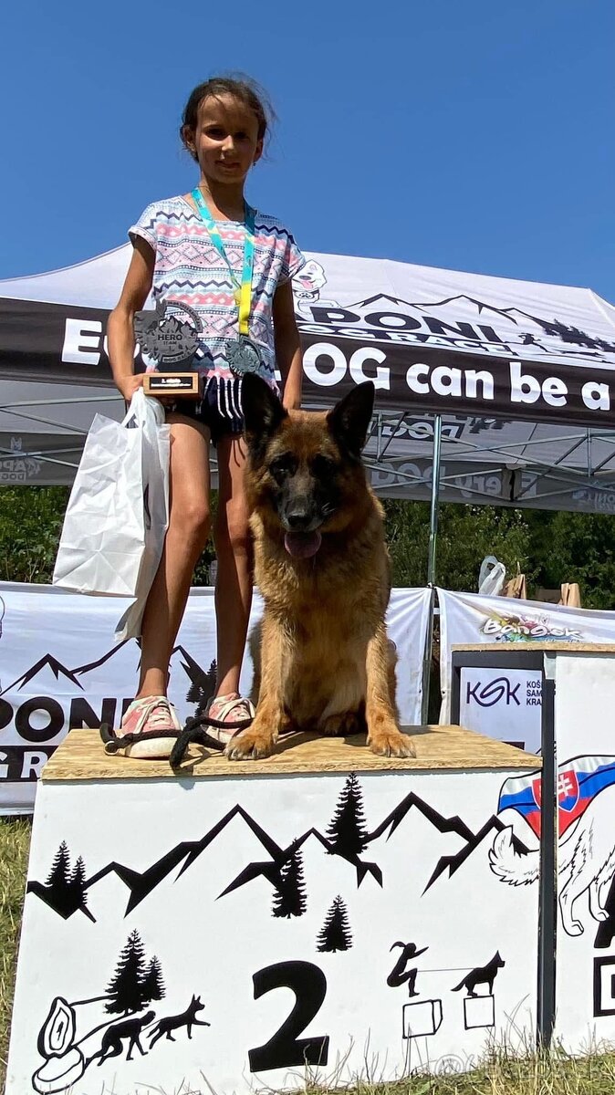 Šteniatka nemeckého ovčiaka s PP - 18