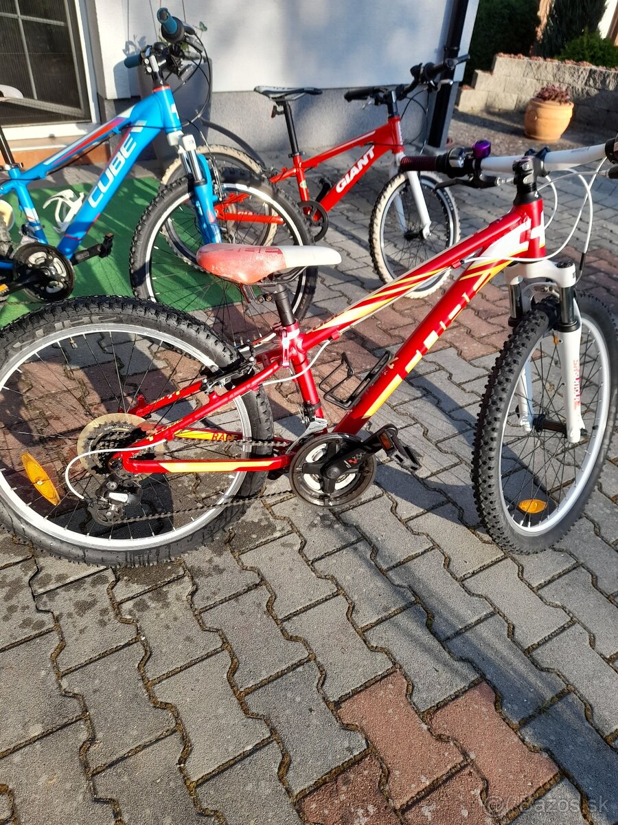 Detsky bicykel 20-24 - 18