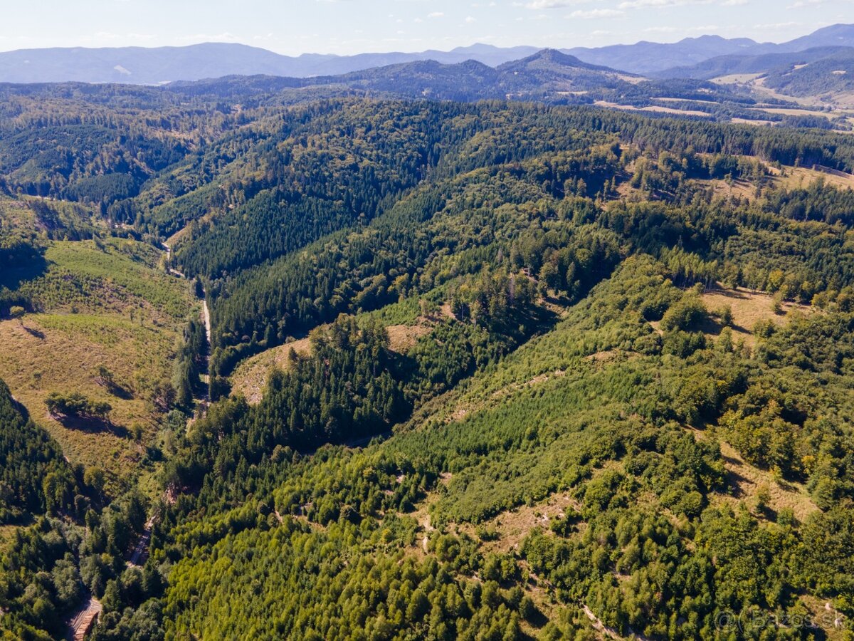 HOSPODÁRSKY LES V OBCI BUDIŠ V OKRESE TURČIANSKE TEPLICE - 18
